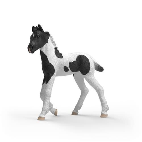 Schleich Horse Club sběratelské hříbě Rocky - 1 kus