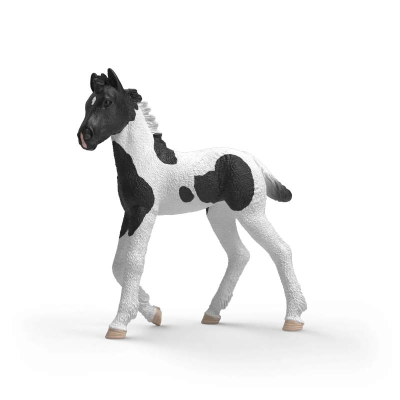 Schleich Horse Club sběratelské hříbě Rocky - 1 kus