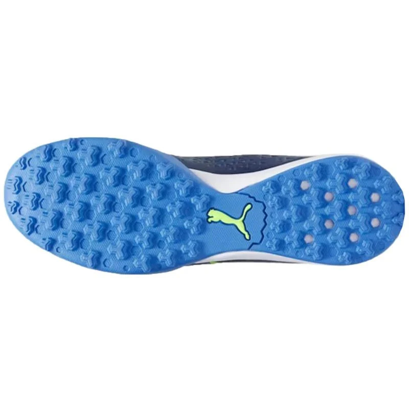 Kopačky Puma King Match TT M 107260 02 40