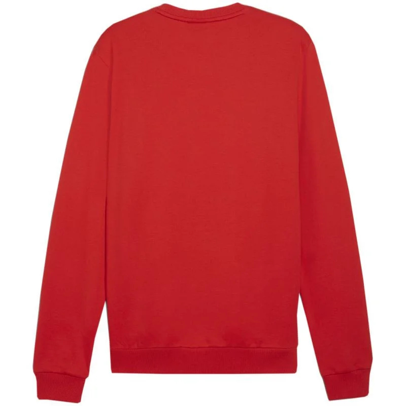 Pánská mikina Puma Team Goal Casuals Crew Neck M 658592 01 s