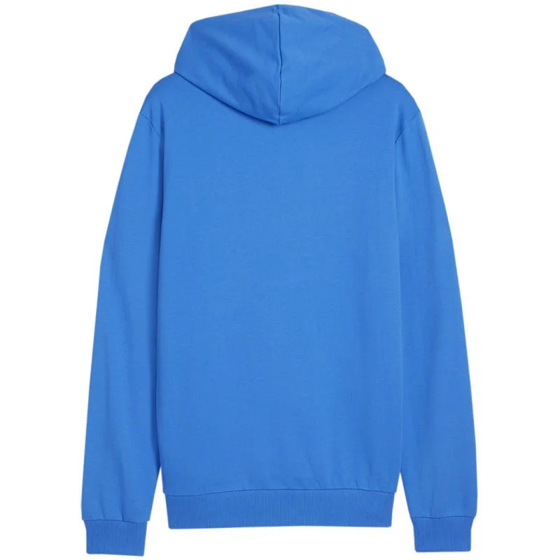 Pánská mikina Puma Team Goal Casuals Hoody M 658618 02 m