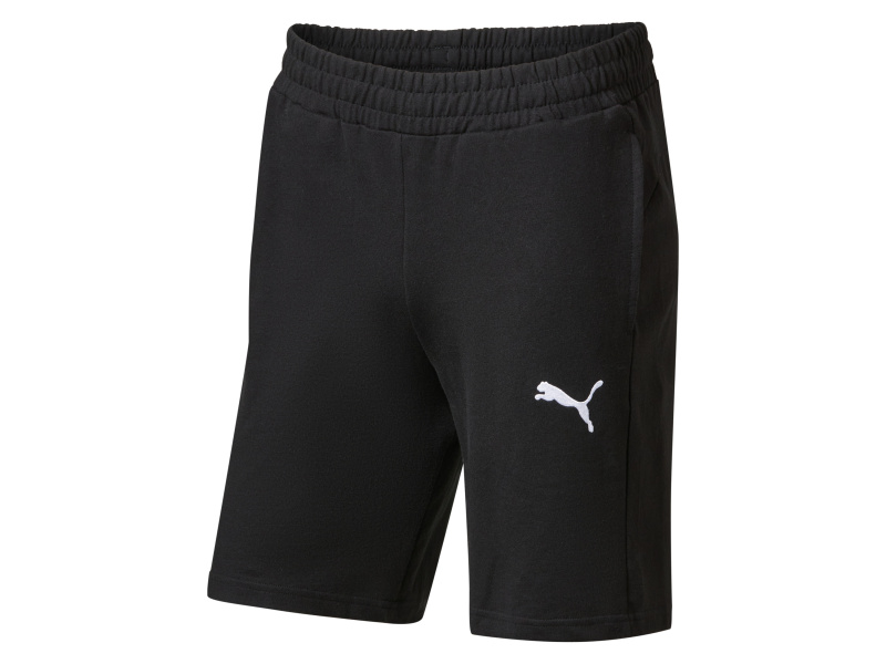 Puma Pánské teplákové kraťasy Teamgoal Casuals (černá, XL)
