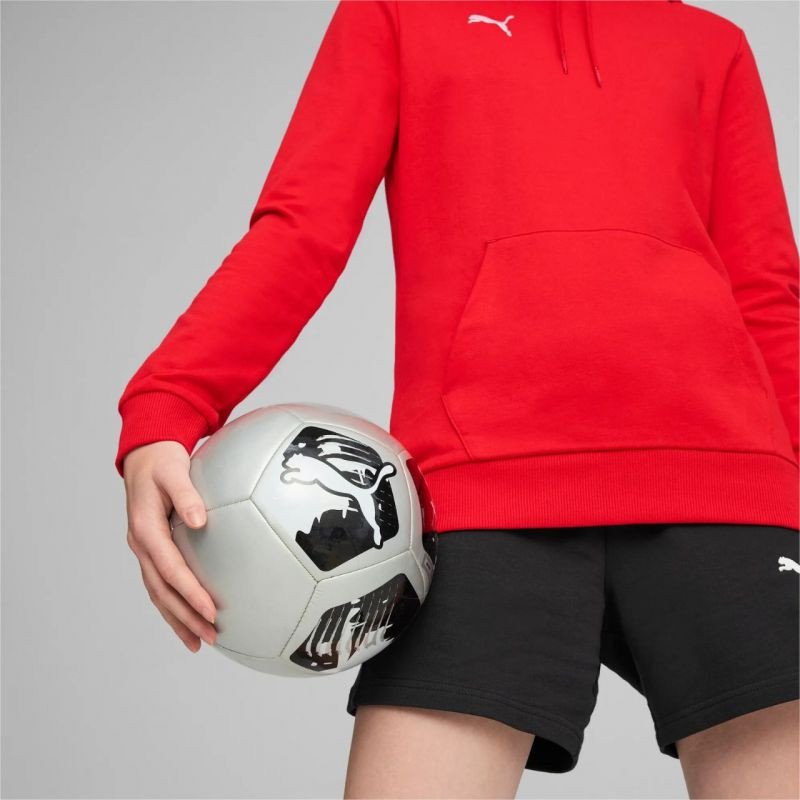 Mikina Puma Team Goal Casuals Hoody W 658621 01 m