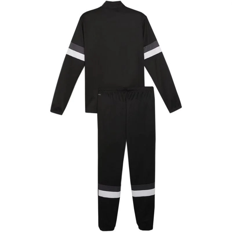 Tepláky Puma Team Rise M 658653 03 S