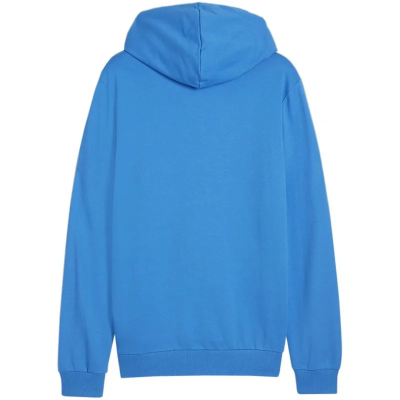Puma Team Goal Casuals Hooded M 658595 02 s