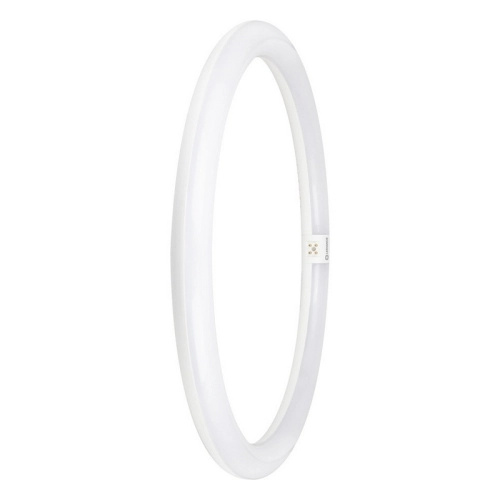 LED kruhová zářivková trubice T9 G10q LEDVANCE SubstiTUBE 24W (40W) studená bílá (6500K)