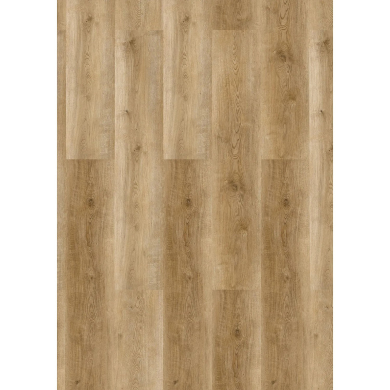 Check ONE Vinylová podlaha Basic Wide 2460 dub Griesheim 1220 x 228 x 4,5 mm