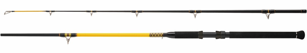 Wft prut never crack catfish boat 3,2 m 250-1000 g