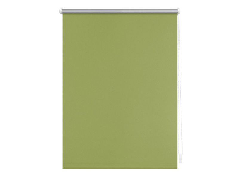 Lichtblick Termo zatemňovací roleta, od 45 x 150 cm (zelená, 90 x 220 cm)