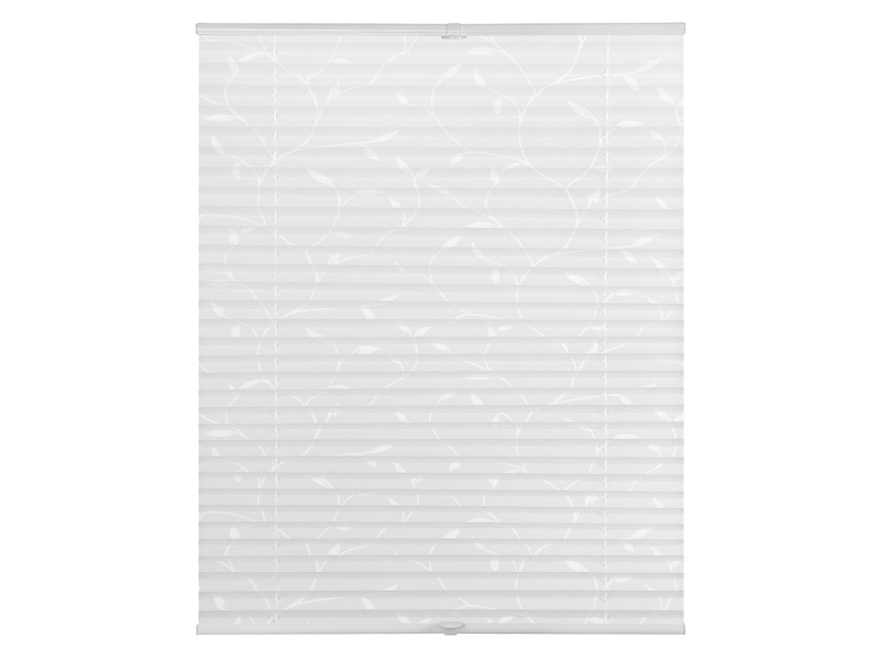Lichtblick Plisovaná roleta, od 45 x 130 cm (100 x 130 cm, účinek: rostlina)