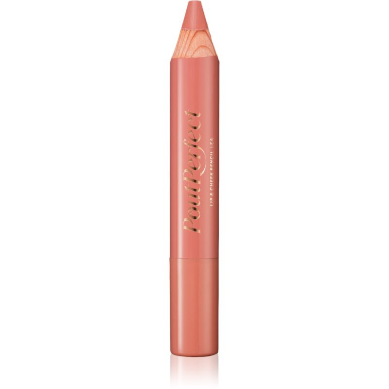 ZOEVA Pout Perfect Lipstick Pencil rtěnka v tužce odstín Lea 4 g
