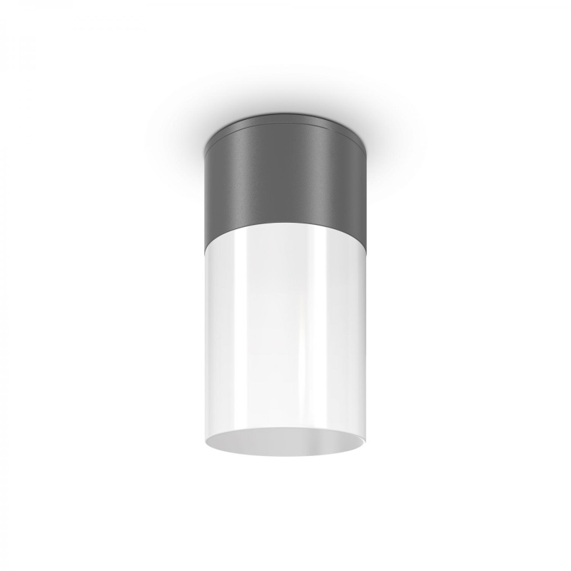 Maytoni Moderní stropní svítidlo WILLIS, 60W, ⌀ 80 cm, 1xE27, IP54 Barva: Šedá