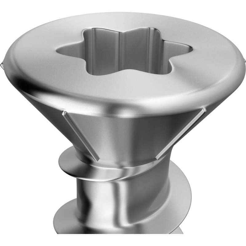 GS Terrassen Univerzální terasový šroub, nerezová ocel, 100 ks, 5 x 50 mm A4