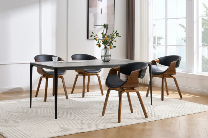 Jídelní křeslo SATYR Dekorhome