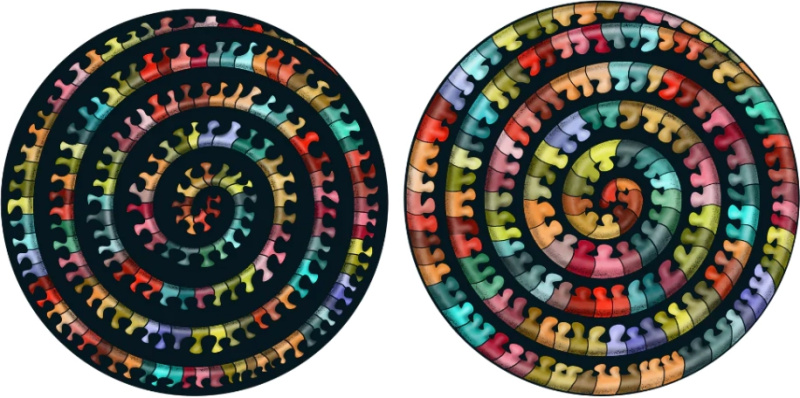 Oboustranné dřevěné puzzle Curiosi Double – stonožka, 324 dílků