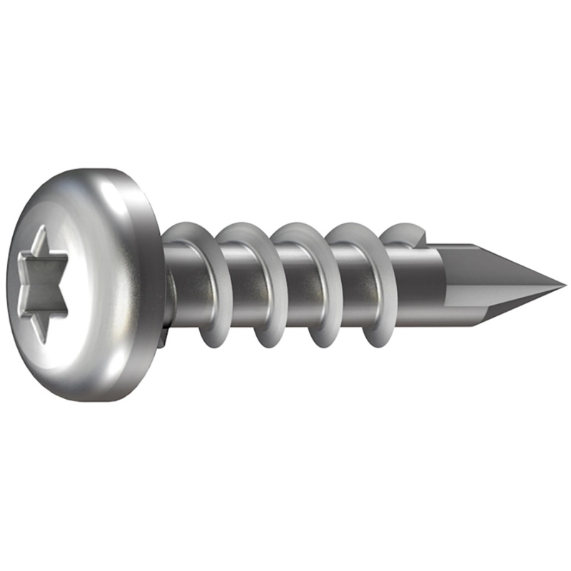 GS Terrassen Závrtný šroub s čočkovou hlavou 100 ks, 4,8 x 25 mm