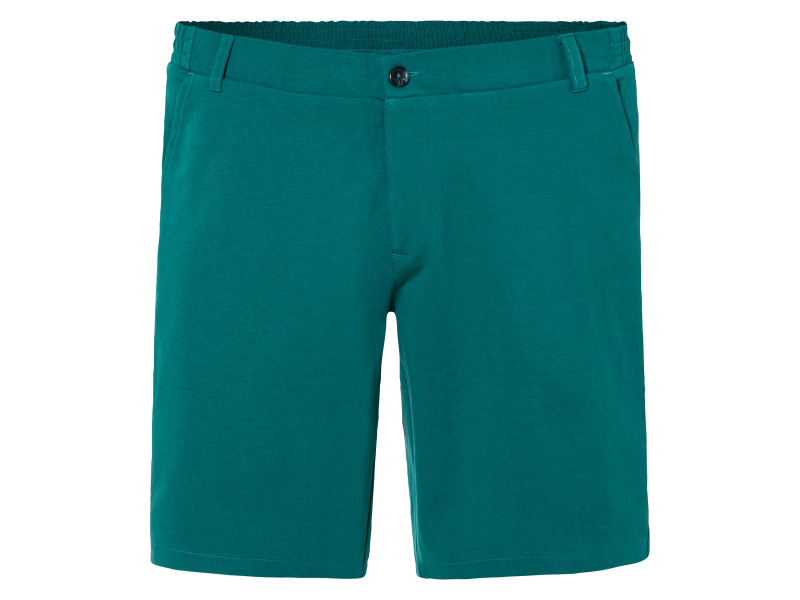 Livergy® Pánské kraťasy (XL (56/58), zelená)