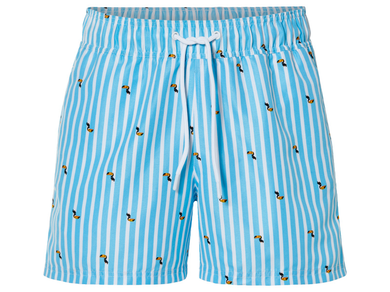 Livergy® Pánské koupací kraťasy (5/M, modrá/bílá)