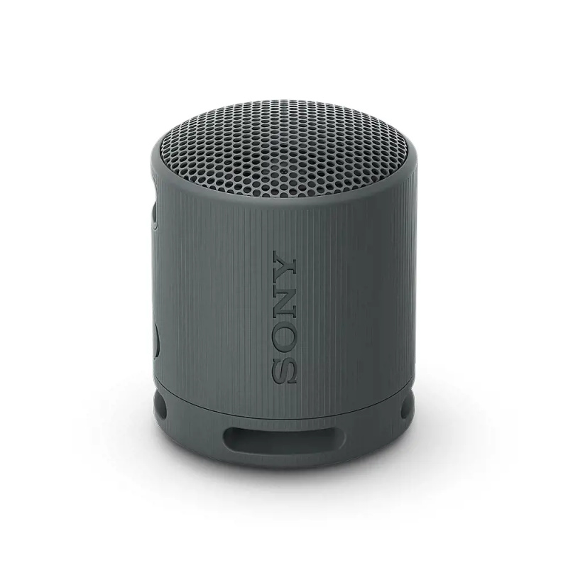 Sony SRS-XB100 Černá