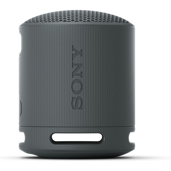 Sony SRS-XB100 Černá