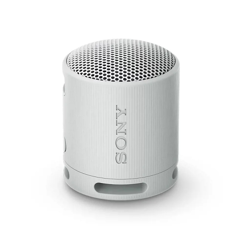 Sony SRS-XB100 Šedá