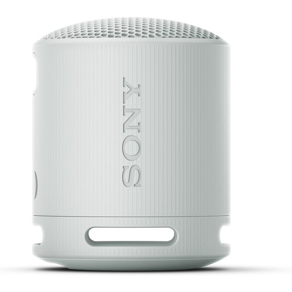 Sony SRS-XB100 Šedá