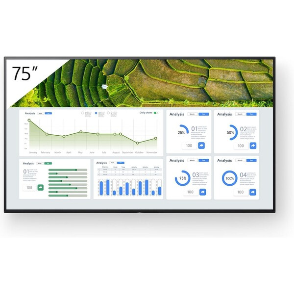 Sony BZ30L FW-75BZ30L  Černá