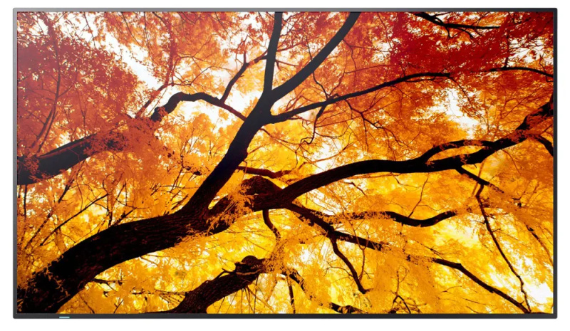 NEC Sharp MultiSync/M502/50"/VA/4K UHD/60Hz/8ms/Černá/3R