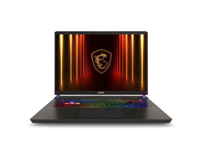 MSI Vector 17 HX AI 9S7-17S372-031 Šedá