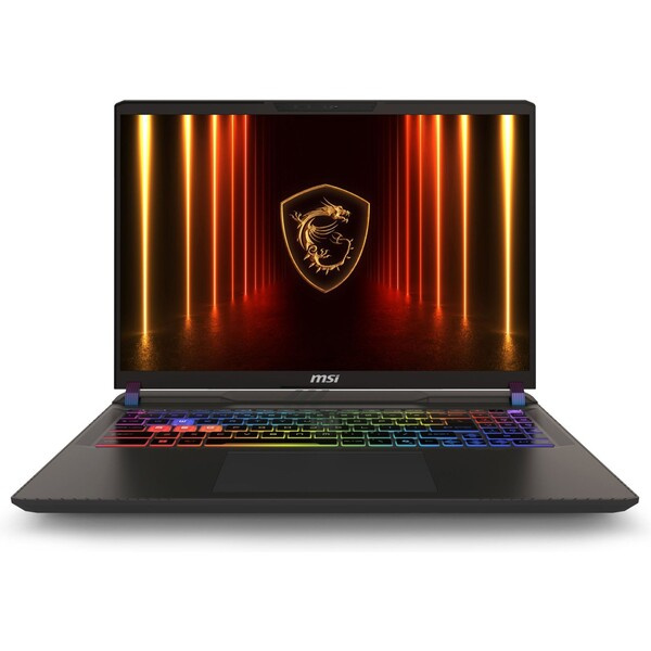 MSI Vector 16 HX AI 9S7-15M352-411 Šedá