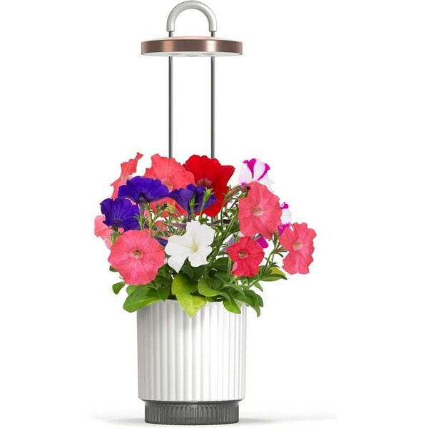 Click and Grow Smart Garden 1 HydroVase by Ermonix chytrý květináč bílý