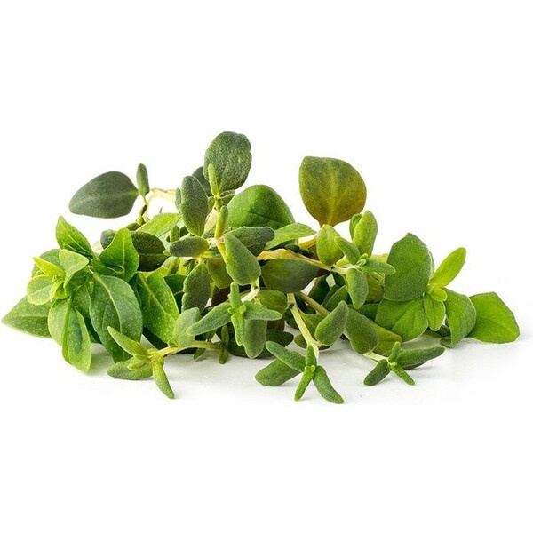 Click and Grow Mix Italských bylin kapsle se semínky a substrátem 9ks