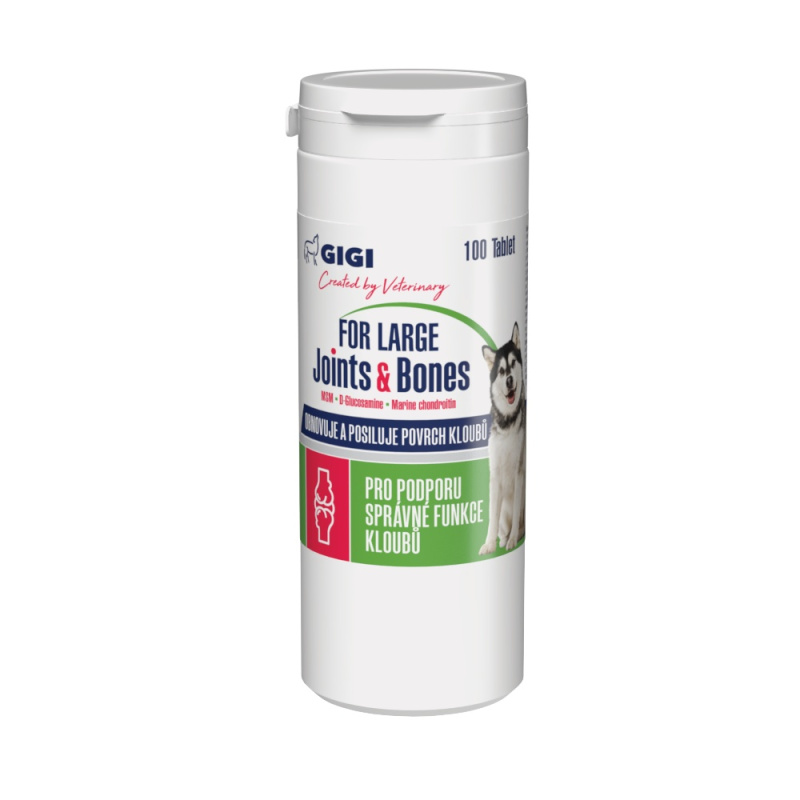 GIGI For Large Joints & Bones 100 tablet