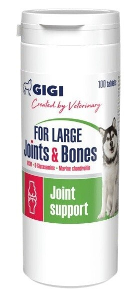 GIGI For Large Joints & Bones 100 tablet