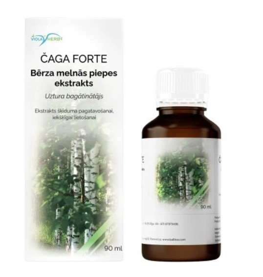 HealthNA Befungin forte Extrakt z čagy, 90 ml