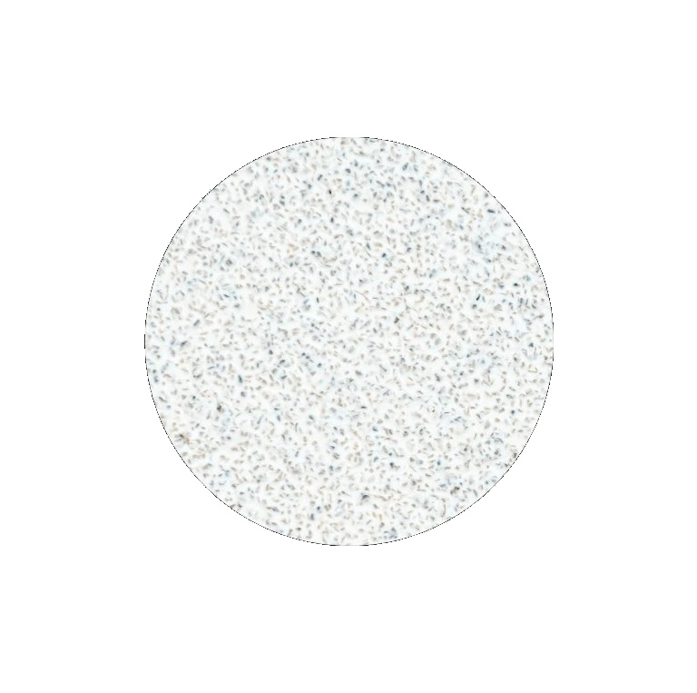 STALEKS Náhradní brusný papír pro pedikérský kotouč Pro L hrubost 80 (White Refill Pads for Pedicure Disc) 50 ks