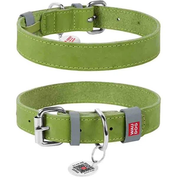 Obojek kůže 15 mm x 27-36 cm WAUDOG zelený