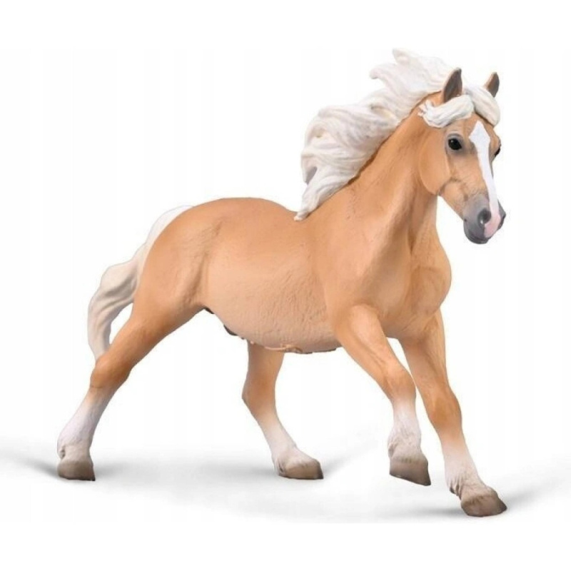 Collecta Hřebec plemene Hafling