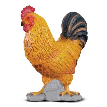 COLLECTA Kohout