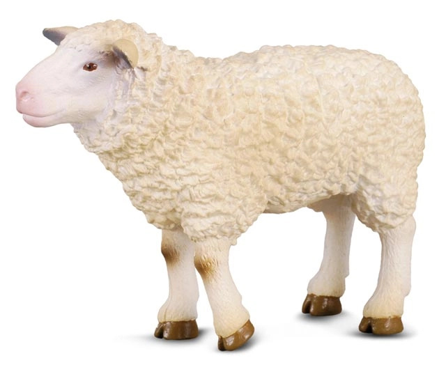 Collecta Ovce