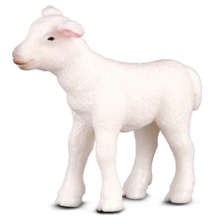 COLLECTA Jehně