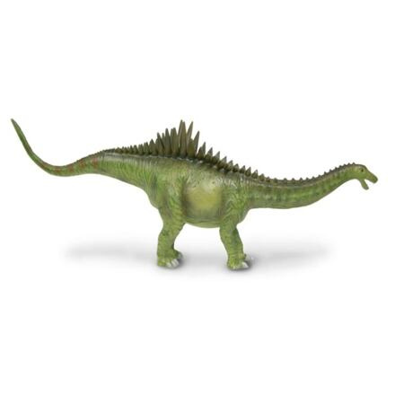 Collecta Agustina