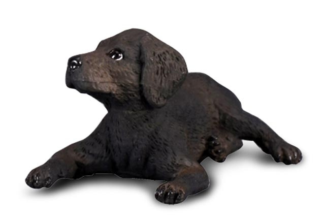 COLLECTA Labradorský retrívr štěně