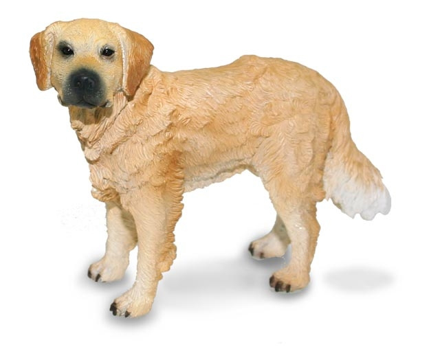 Zlatý retrívr Collecta