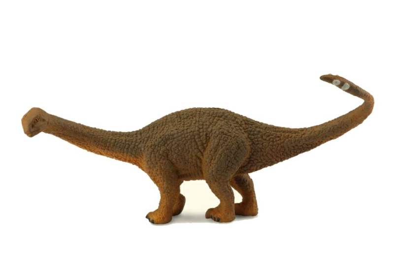 Collecta shunosaurus