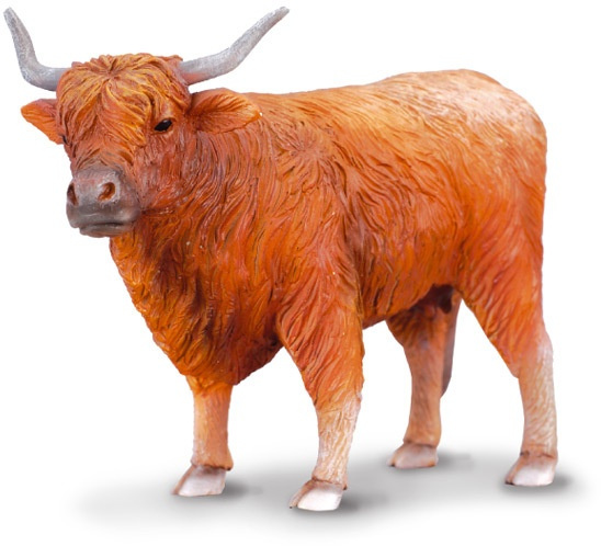 Collecta highland kráva