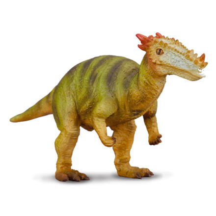 COLLECTA Dracorex
