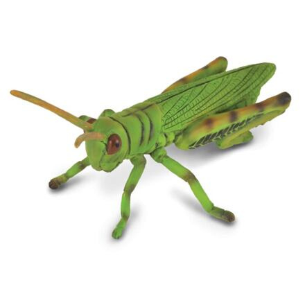 COLLECTA Kobylka luční