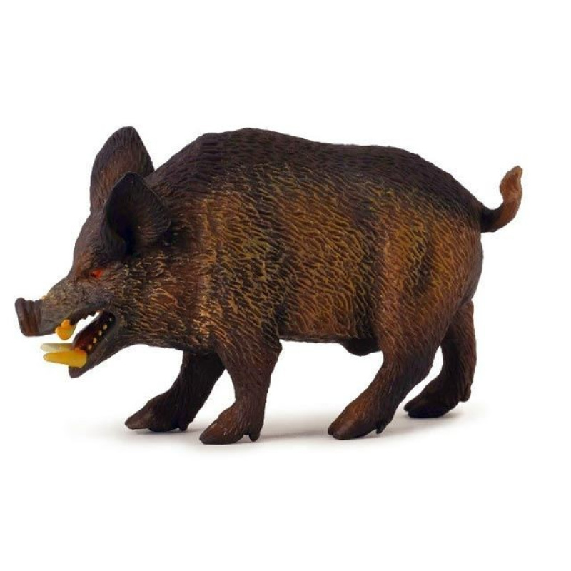 Collecta Prase divoké kanec