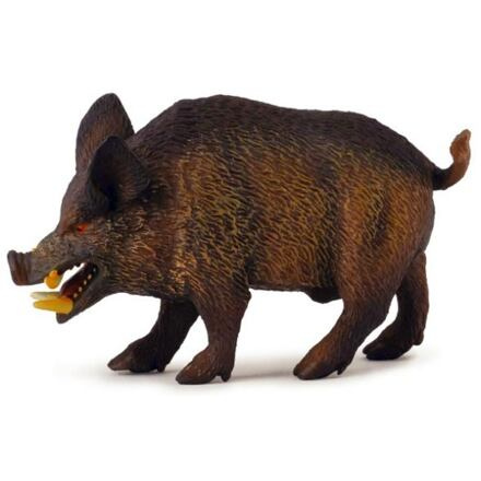 Collecta Prase divoké kanec